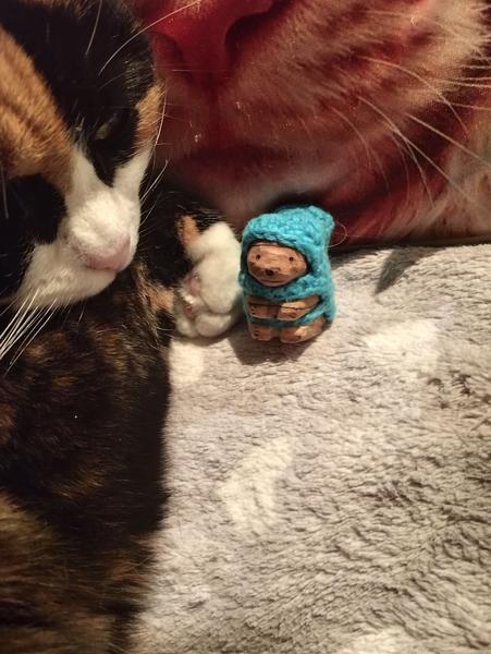 Sculpture d'écureuil habillé d'un manteau à côté de la patte repliée d'une chatte tricolore