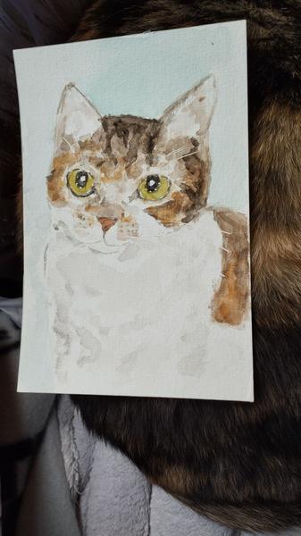 Aquarelle d'U'theia, chatone tigrée et blanche 