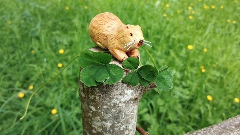 Un ragondin en bois sur un poteau. Il tient 3 trèfles à 4 feuilles