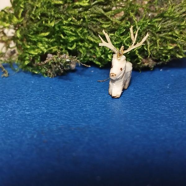 Le cerf vu de face