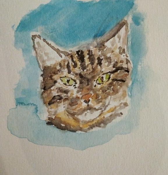 Aquarelle d'une chatte tigrée, vue de fzce