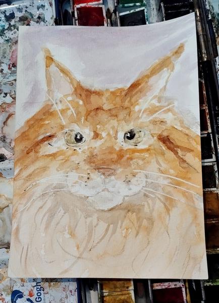 Aquarelle d'un maine coon roux qui louche