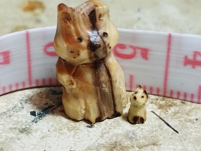 gros plan sur le chat et le petit renard