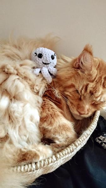 Un petit poulpe crocheté posé sur un gros maine coon roux qui dort