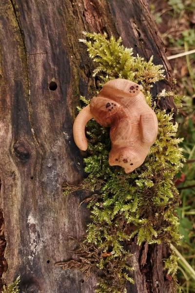 Une sculpture de chat en bois. Elle est posée sur un tronc moussu. Le chat montre son ventre, le corps courbé en demi cercle. La position est classique du "viens me caresser le bidou *offre soumise à condition"