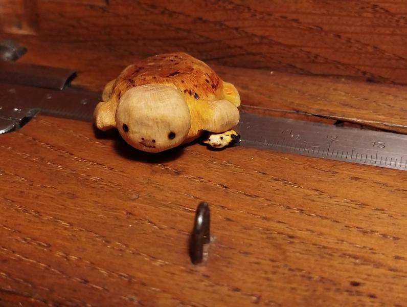 Autre photo avec la mini tortue sous une patte de la grande