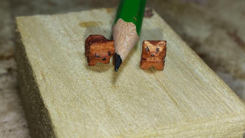 Les animaux vus de faces