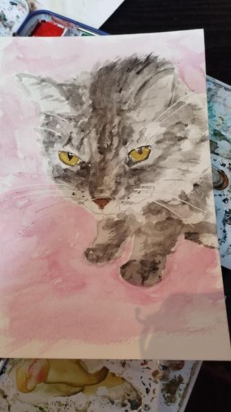 Aquarelle d'un chat gris au regard pas content