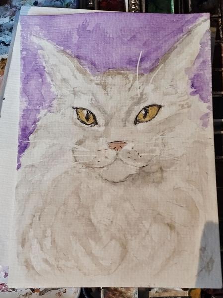 Aquarelle d'un maine coon blanc