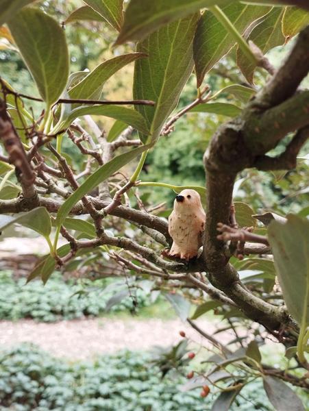Un petit oiseau en bois qui attend patiemment sur une branche