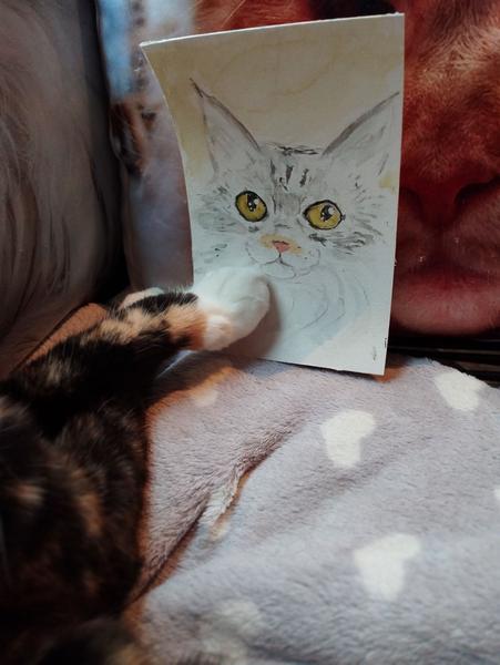 L'aquarelle posée contre un coussin. Une patte de chatte, tricolore, chaussette blanche la maintient contre le coussin