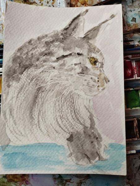 Aquarelle de Tina, Maine coon grise 