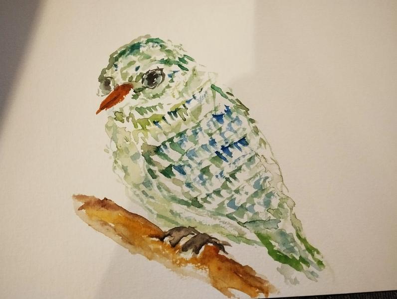 Aquarelle d'un oiseau vert bleu. Le corps et les yeux rappellent une petite chouette mais le bec est trop allongé 
