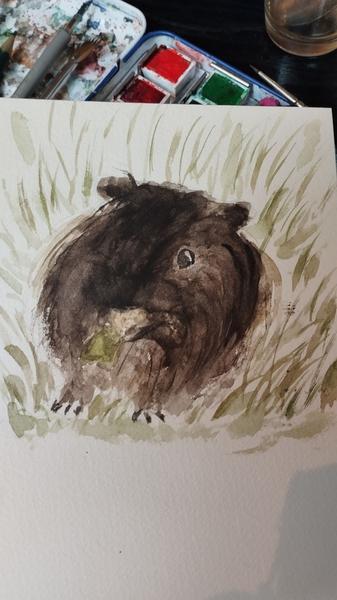 Aquarelle d'un cochon d'Inde tout rond qui mange de la salade