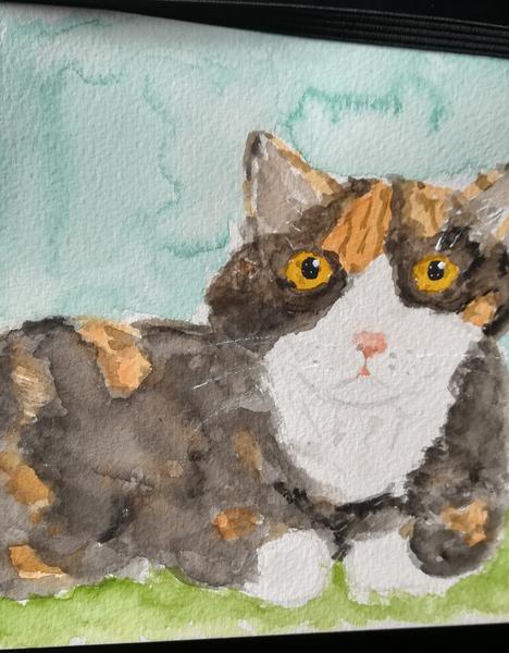Aquarelle d'une chatte tricolore 