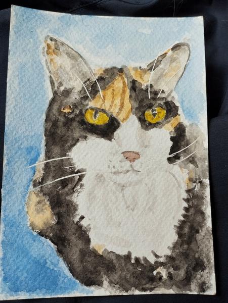 Aquarelle de Nola, chatte tricolore 