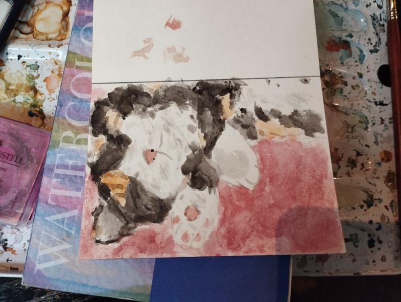 Aquarelle d'une chatte tricolore qui dort