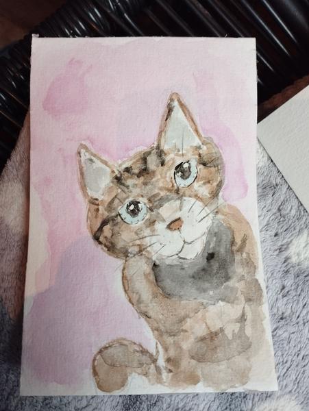 Aquarelle d'un chat tigré 