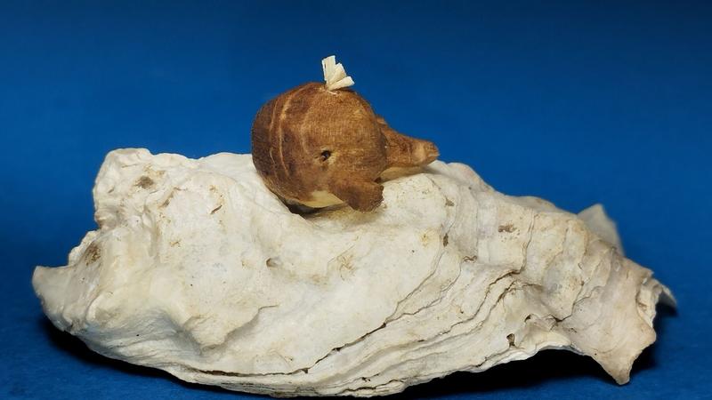 A tiny wood sculpture of a whale. It sits on an oyster shell