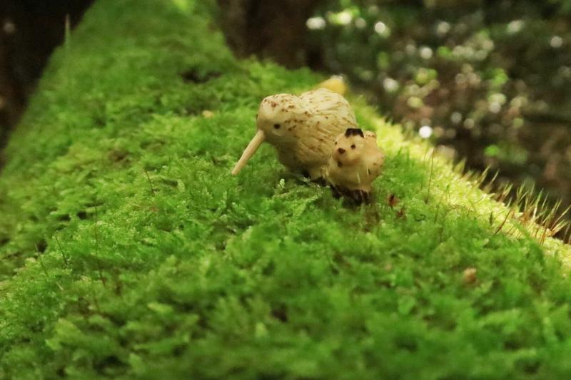 Une sculpture de poule et un kiwi sur une branche très moussue