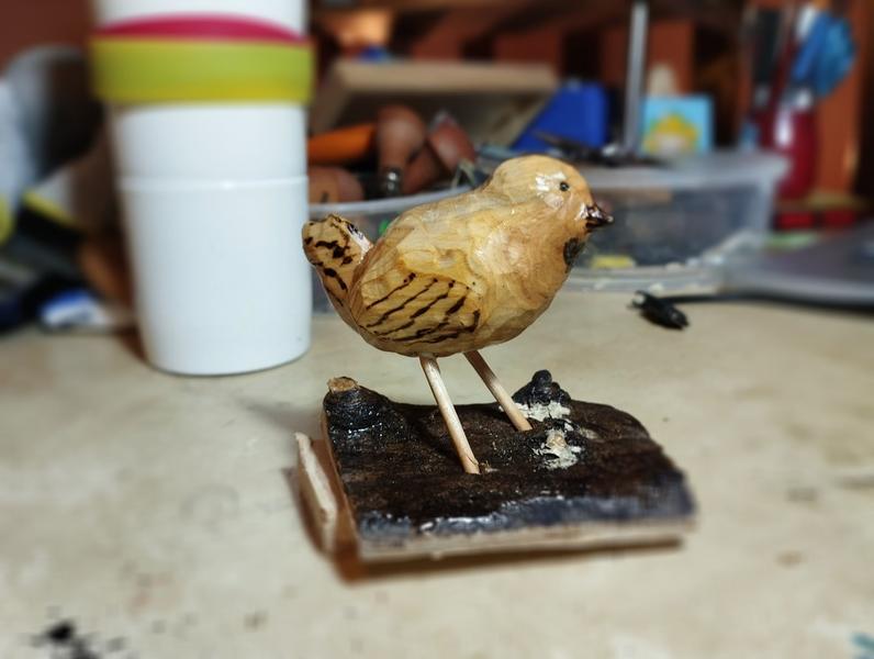 L'oiseau vu de profil 