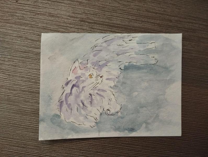 Petite aquarelle d'un maine coon blanc et violet