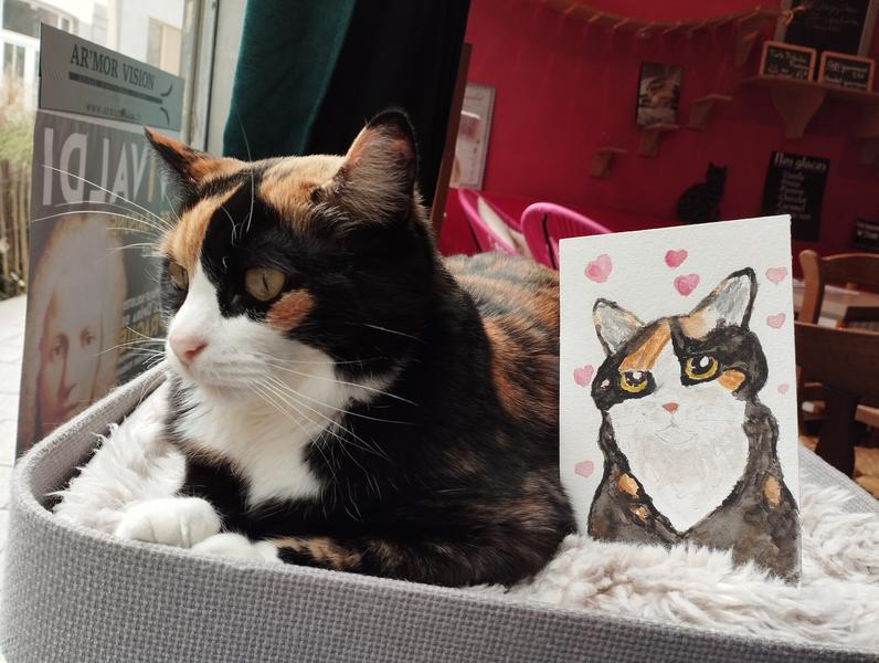 Nola, chatte tricolore regarde par la fenêtre. À côté, il y a son portrait en aquarelle 