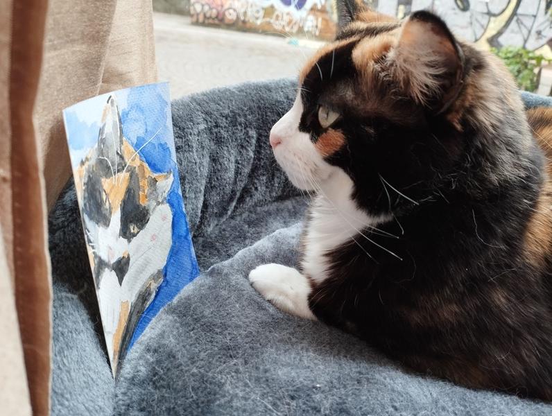 Nola qui regarde son portrait l'air blasé 