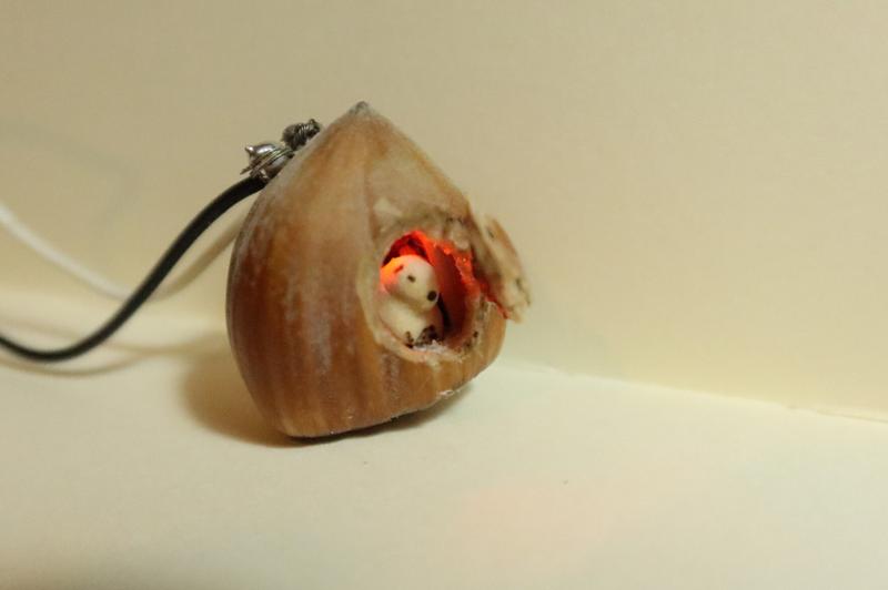 photo de la maison noisette avec l'écureuil dedans. On voit sa tête et le bout de ses pattes avant