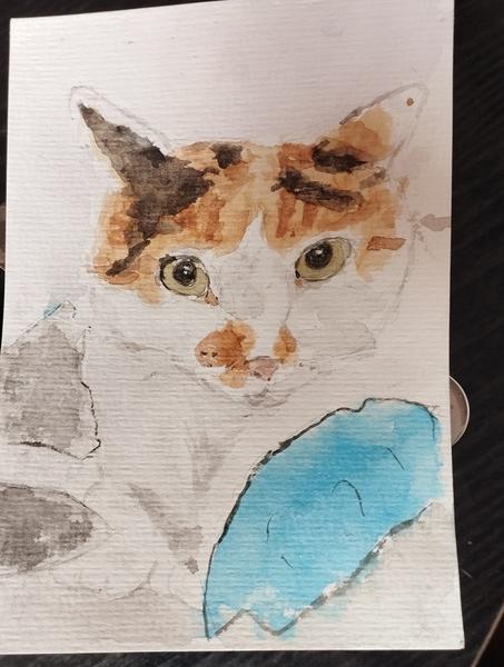 Aquarelle d'une chatte blanche avec le dessus de la tête tricolore