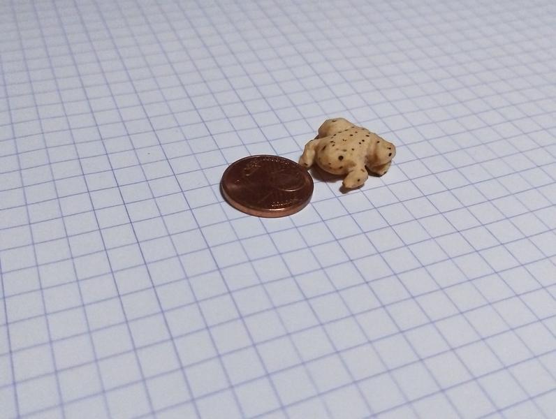 Une mini grenouille en bois, à côté d'une pièce d'un centime 
