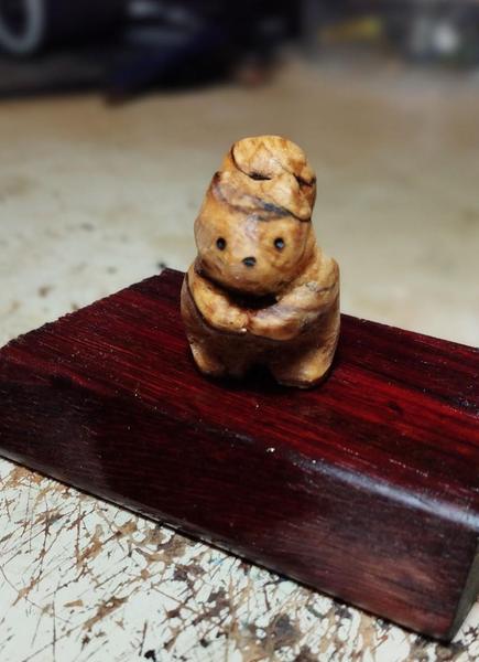 L'écureuil vu de face