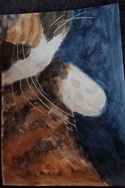 Aquarelle d'une chatte tricolore qui dort 