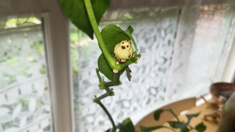 Une petite sculpture d'oiseau en bois, posée sous une feuille d'un plant de poivron