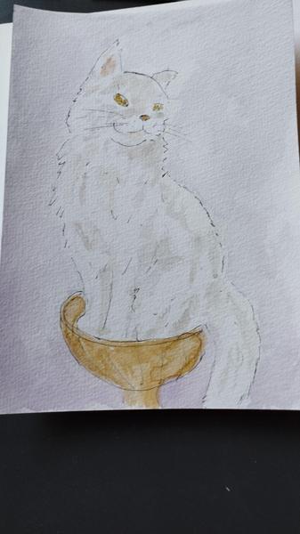 Aquarelle d'un maine coon blanc assis dans son panier