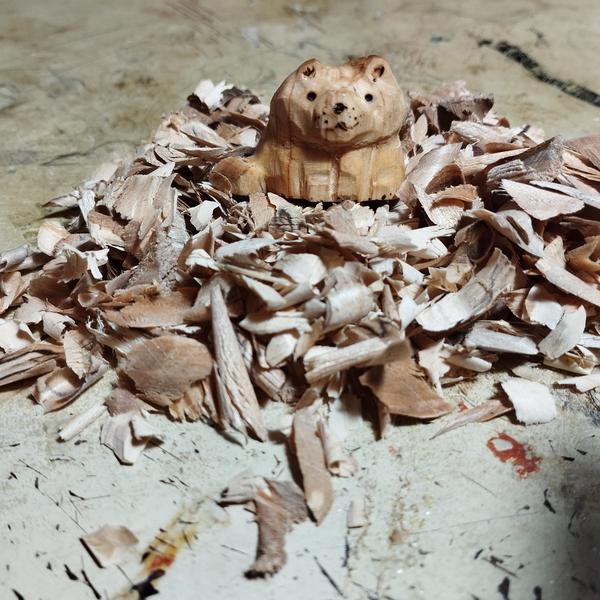 Un chat en bois assis sur un tas de copeaux 