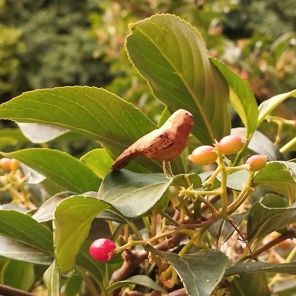 Un petit oiseau en bois posé sur une feuille de sureau à côté de quelques baies