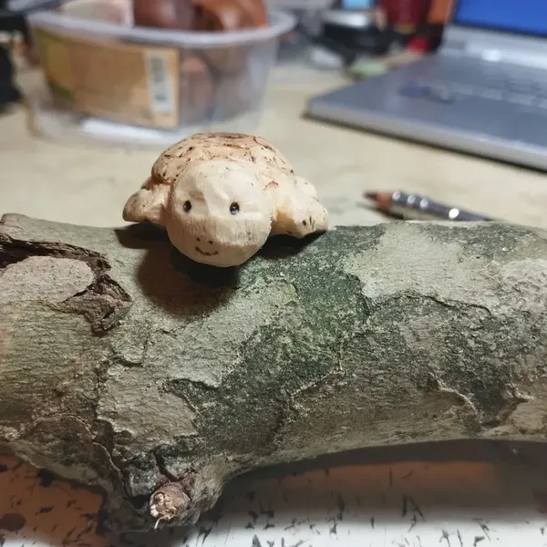La tortue vue de face avec son petit sourire pyrogravé 