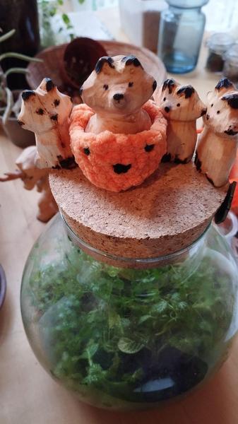 Le renard dans un panier orange, en compagnie d'autres renards