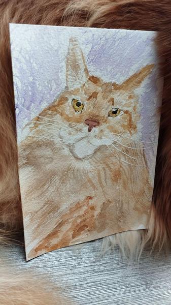 Aquarelle d'un maine coon roux, au fond un pelage roux