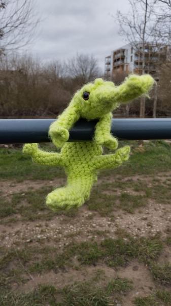 Le gavial suspendu autour d'une barre