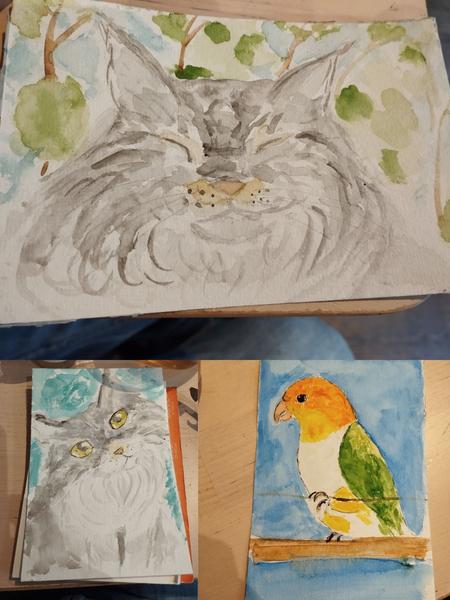 Trois aquarelles : deux maine coins grises, et un perroquet orange, blanc er vert 