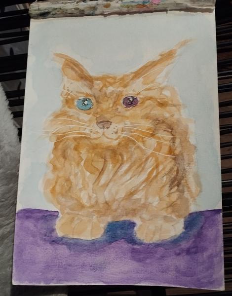 Aquarelle d'un chat roux à poils longs. Il a des yeux bleu et violet 