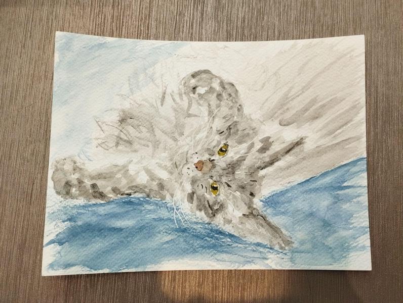 Aquarelle d'une maine coon grise, pose mimitude au maximum