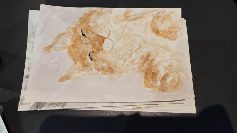 Aquarelle d'un maine coon roux dans la même position meilleure sieste