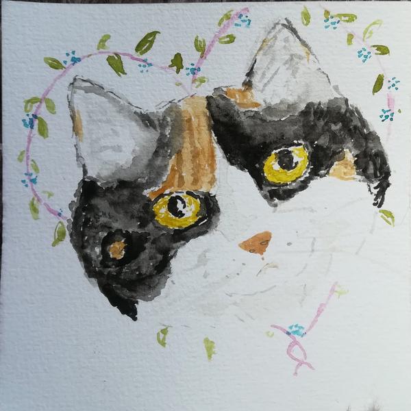 Aquarelle d'une chatte tricolore 