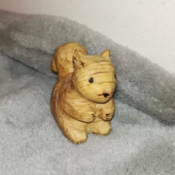 Le même écureuil sans bonnet 