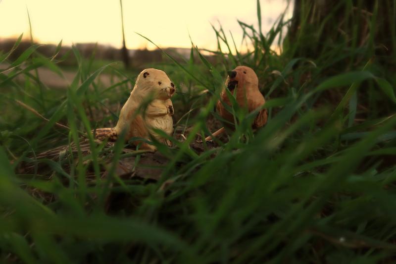 Photo de deux sculptures en bois : un castor et un oiseau.Les sculptures sont posée dans l'herbe, en arrière plan, un ciel nuageux aux teintes orangées