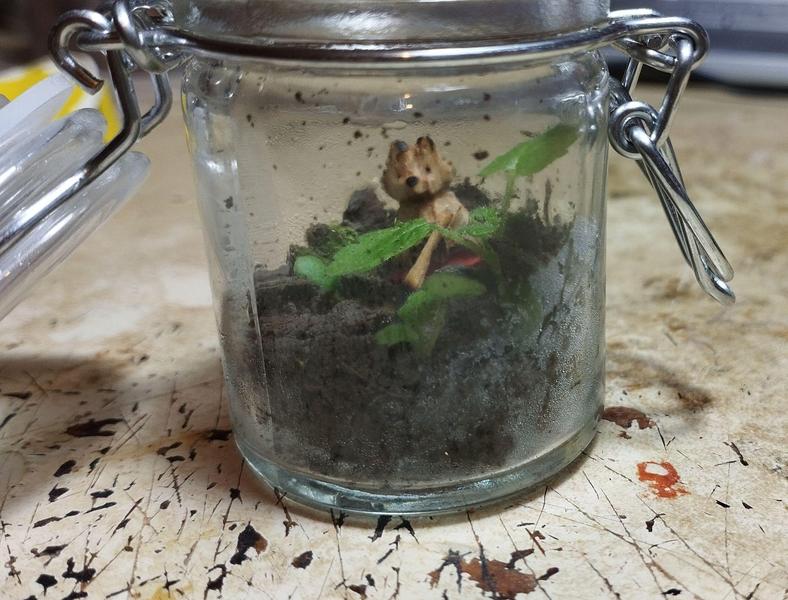 un petit renard en bois dans un bocal dans lequel pousse des petites plantes