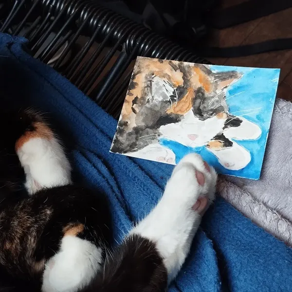 Aquarelle de Nola, chatte tricolore à côté de la patte de Nola 